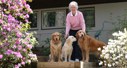Isobel and dogs